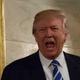 President Trump greets visitors to the White House with his signature yell of approval (Photo by Aude Guerrucci-Pool/Getty Images)